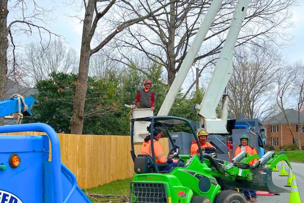 Arborists from Godspeed Tree Service using a bucket truck to prune brnaches of trees on a property in Winston-Salem, NC.