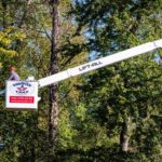 Certified Arborist at Godspeed Tree performs maintenance pruning on a tree from a bucket truck.