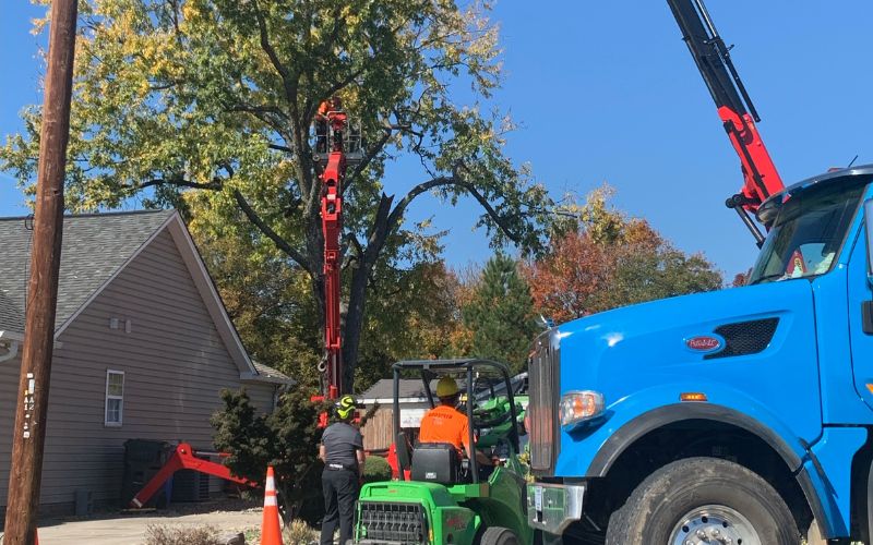 Godspeed Tree safely removes a large tree close to a home and utility lines in Winston-Salem.