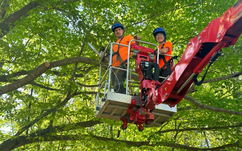 Certified Arborists from Godspeed Tree use a cherry picker and small pruning saw to trim limbs on a large tree.