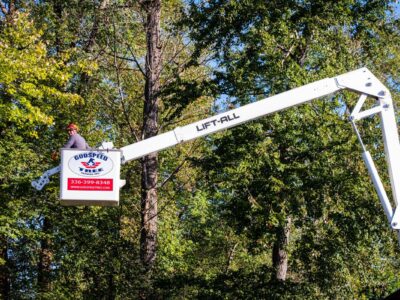 Certified Arborist at Godspeed Tree performs maintenance pruning on a tree from a bucket truck.